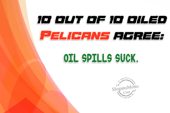 10 out of 10 oiled Pelicans agree: Oil spills suck.