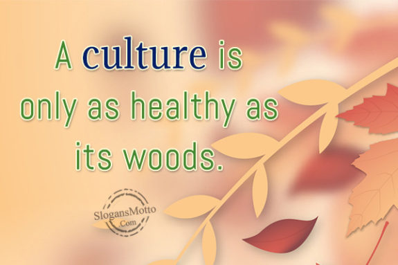a-culture-is-only-as-healhty-as