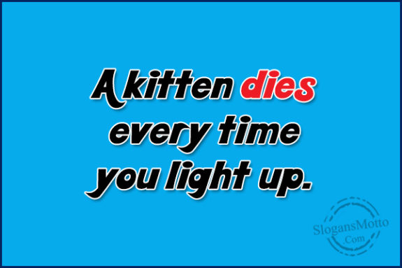 a-kitten-dies