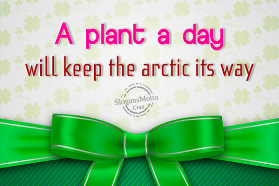 a-plant-a-day-will-keep