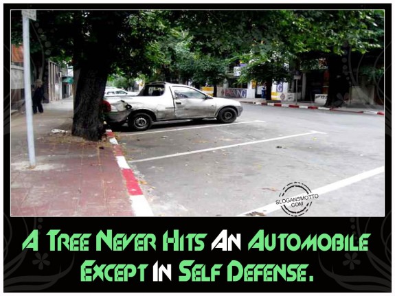 A tree never hits an automobile except in self defense