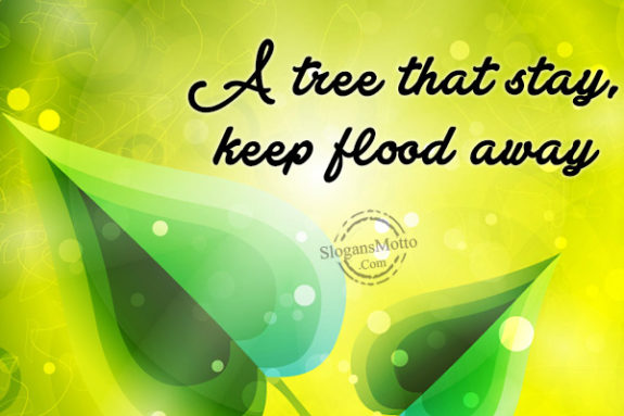 A tree that stay, keep flood away