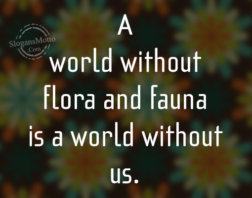 a-world-without-flora-and-fauna