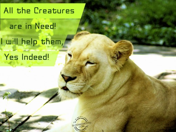 All the creatures are in need! I will help them, yes indeed!