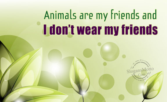 Animals Are My Friends