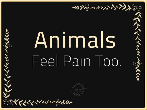 Animals Feel Pain Too.