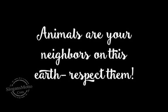 Animals are your neighbors on this earth- respect them!