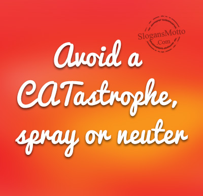 avoid-a-tastrophe