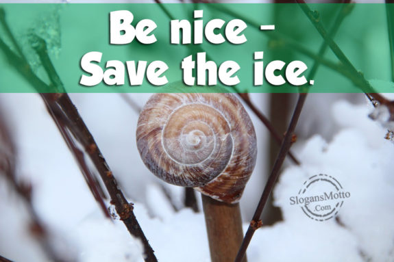 be-nice-save-the-ice