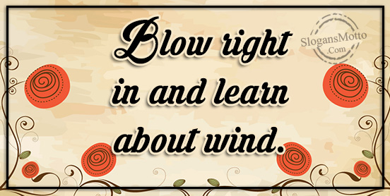 Blow right in and learn about wind.
