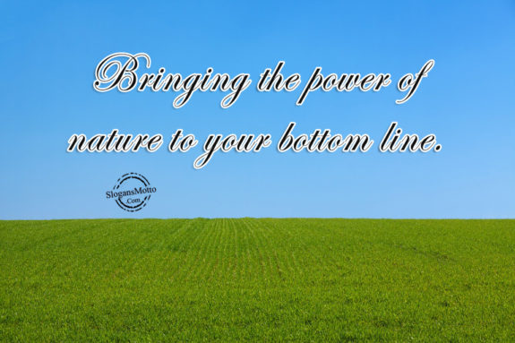 Bringing the power of nature to your bottom line.