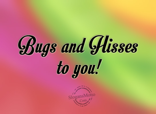bugs-and-hisses