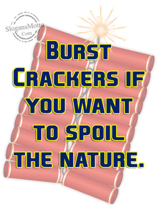 burst-crackers-if-you-want