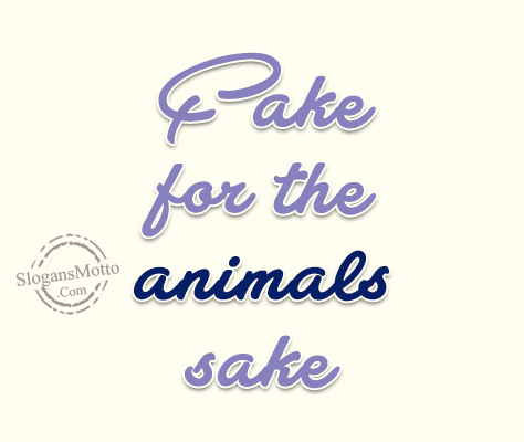 cake-for-the-animals-sake