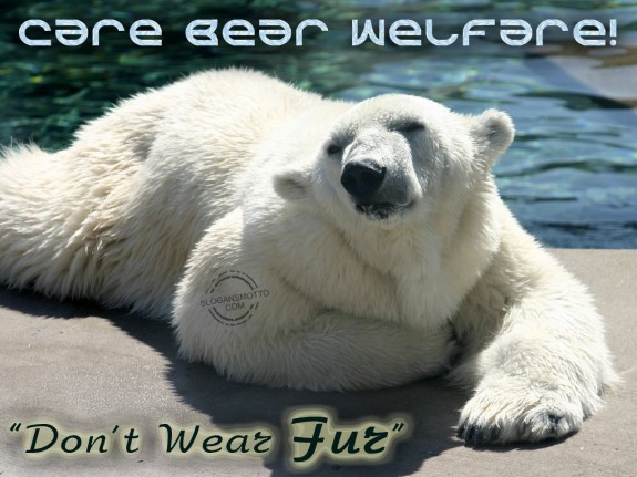 Care Bear Welfare! “Don’t Wear Fur”