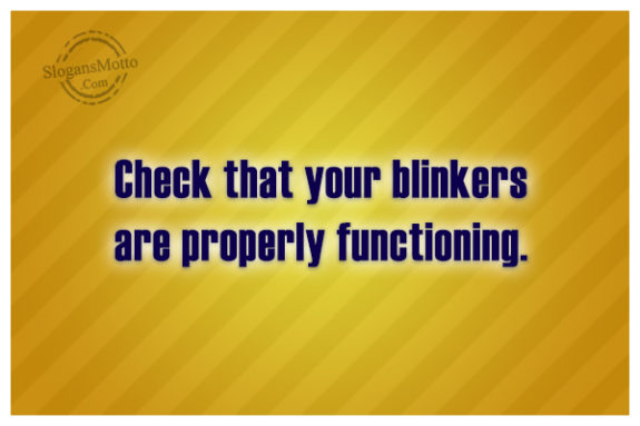 check-that-your-blinkers