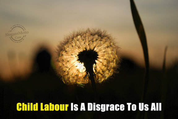 Child Labour Is A Disgrace To Us All