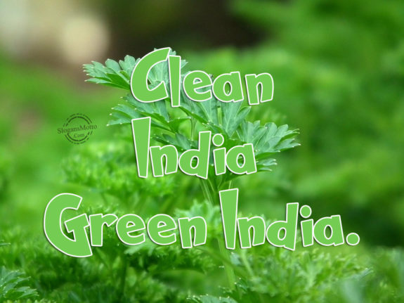 Clean India Green India.