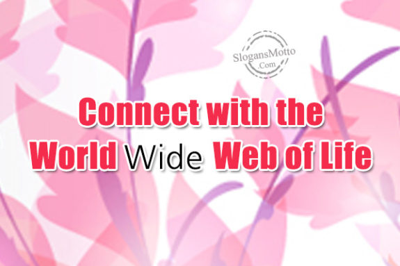 connect-with-the-world-wide