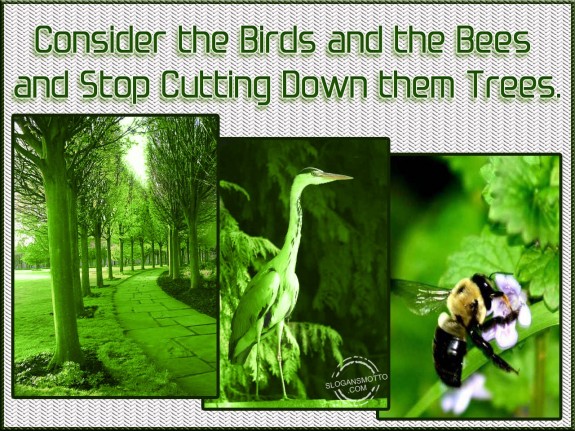 Consider the birds and the bees and stop cutting down them trees