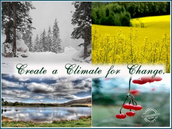 Create a climate for change