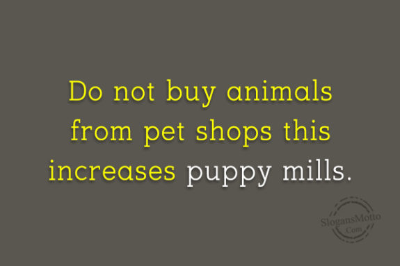 Do Not Buy Animals