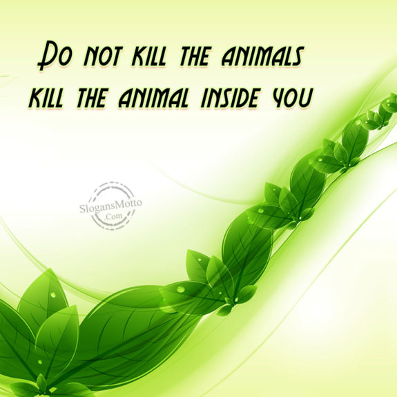 Don Not Kill The Animals