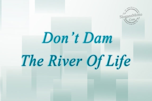 Don't Dam The River Of Life