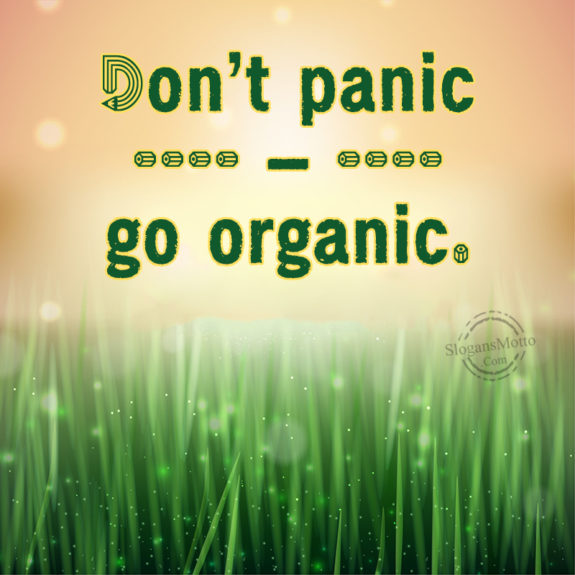 Don't Panic