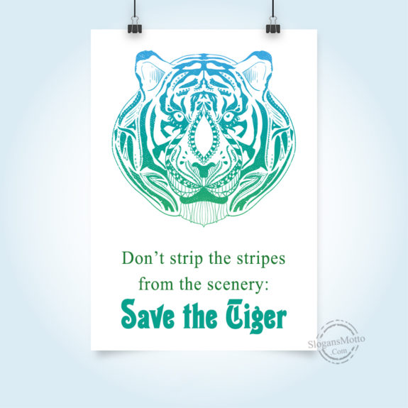  Dont Strip The Stripes