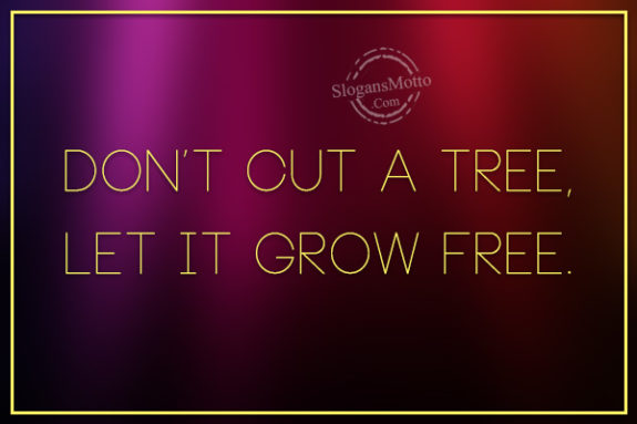 Don’t cut a tree, let it grow free.