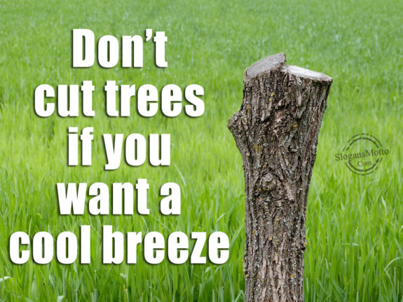 Don’t cut trees if you want a cool breeze