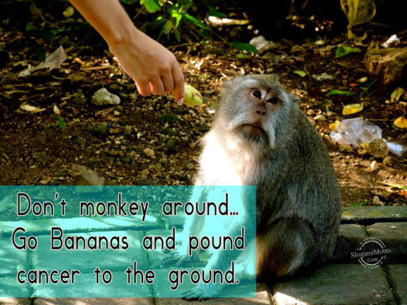 Don’t monkey around…Go Bananas and pound cancer to the ground