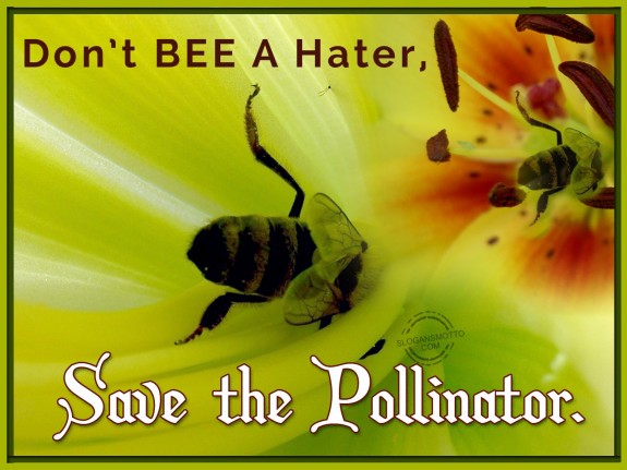Don’t BEE a Hater, Save the Pollinator.