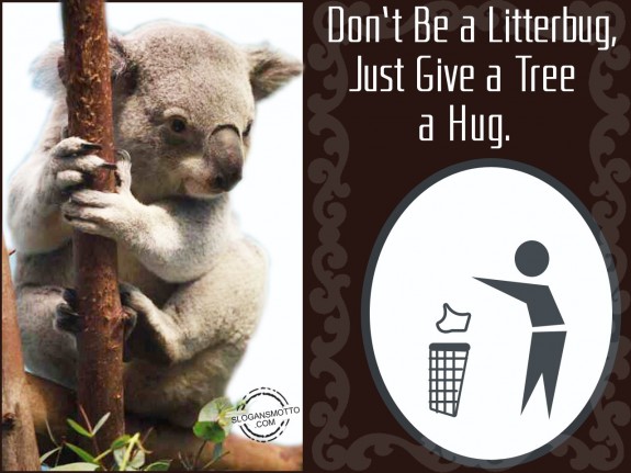 Don’t be a litterbug, just give a tree a hug