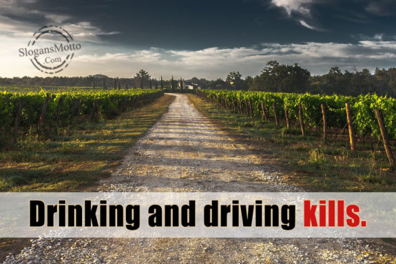 drinking-and-driving-kills