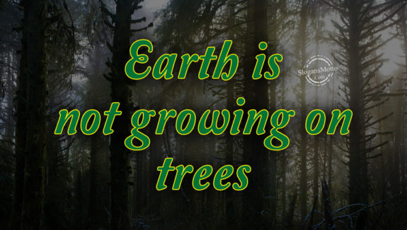 Earth is not growing on trees