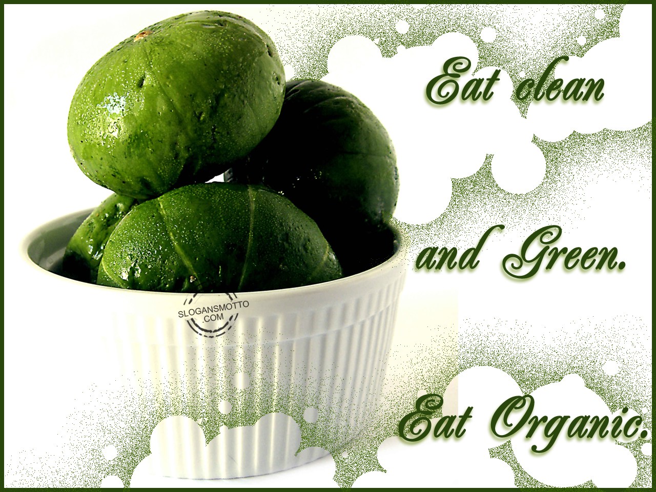 Organic Food Slogans Organic Food Slogans