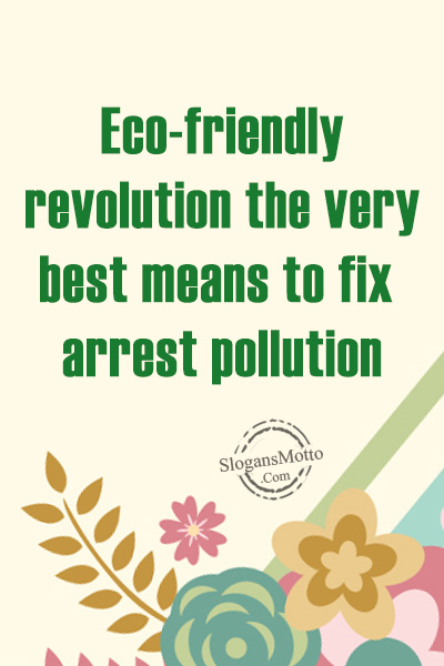 eco-friendly-revolution-the-very-best