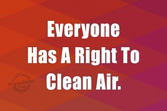 everyone-has-a-right-to-clean