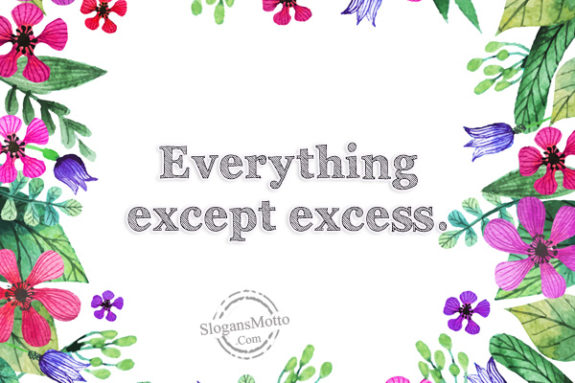 everything-except-excess