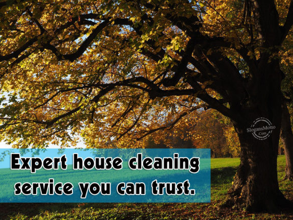 Expert house cleaning service you can trust.