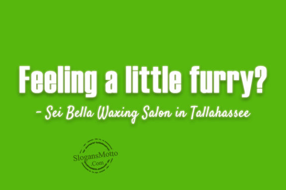 Feeling a little furry? – Sei Bella Waxing Salon in Tallahassee