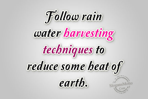 follow-rain-water-harvesting