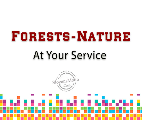 Forests-Nature At Your Service