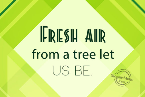 Fresh air from a tree let us be