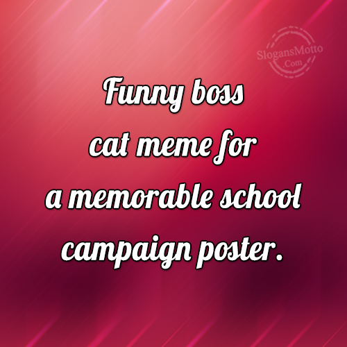 Funny Boss Cat Meme