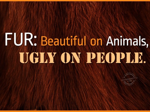 Fur Beautiful on animals, ugly on people.