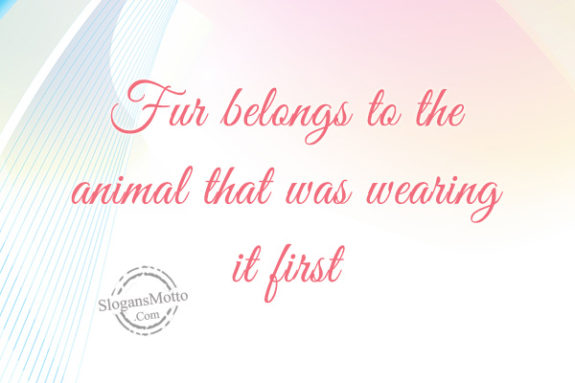 fur-belong-to-the-animals