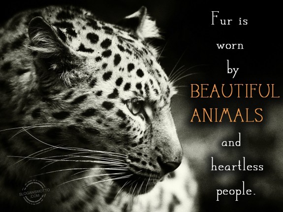 Fur is worn by beautiful animals and heartless people.